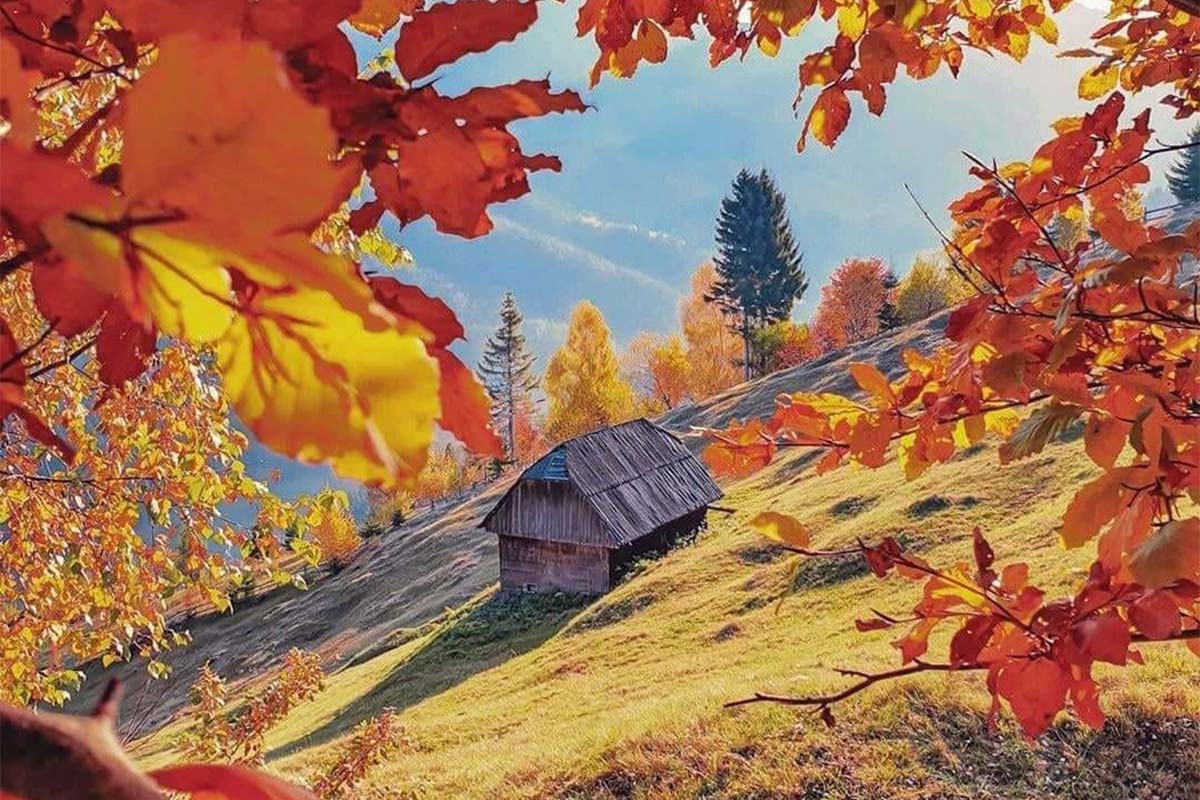 Herbst in Moieciu de Sus